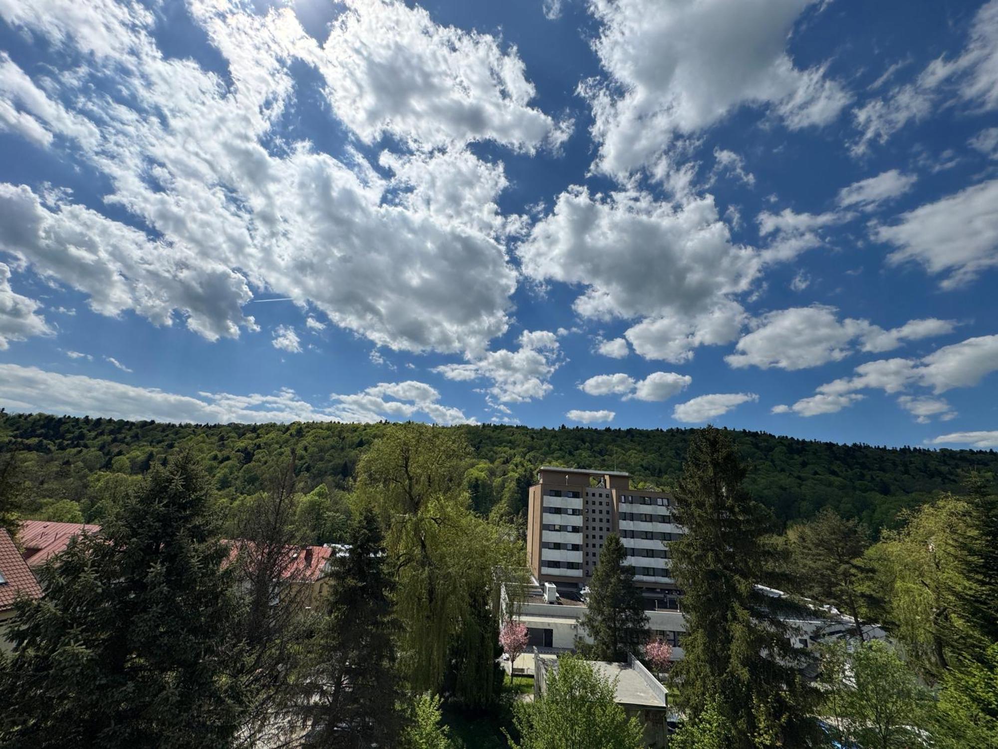 Penzion Zornicka Bardejovské Kúpele Екстериор снимка